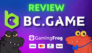 كل ما تحتاج لمعرفته عن BCGame
