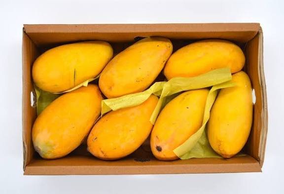 Fresh Mango Price in Pakistan